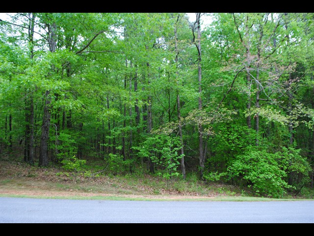 Image of Property